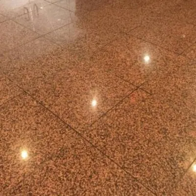 Nuestra Galería